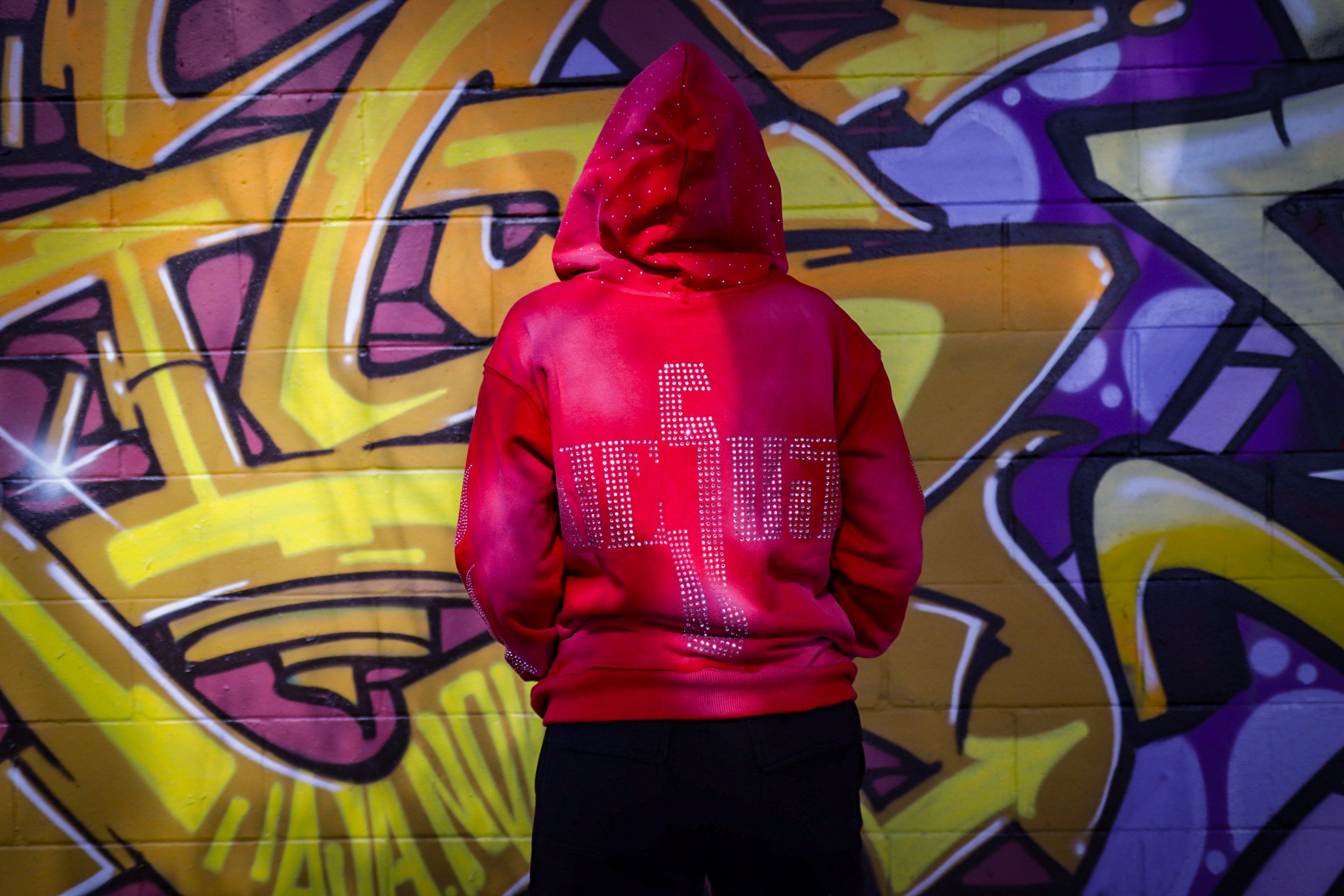 Anointed Hoodie (Red) - hover